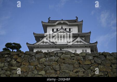 Vista panoramica del fossato e dell'impressionante Main Donjon curvo gables, parte di Himeji-jō, il famoso "White Heron Castle" a Hyōgo, Kansai, Giappone. Foto Stock