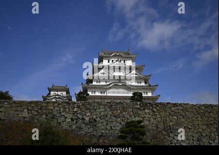 Vista panoramica del fossato e dell'impressionante Main Donjon curvo gables, parte di Himeji-jō, il famoso "White Heron Castle" a Hyōgo, Kansai, Giappone. Foto Stock