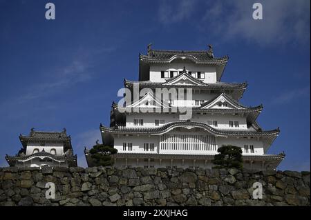 Vista panoramica del fossato e dell'impressionante Main Donjon curvo gables, parte di Himeji-jō, il famoso "White Heron Castle" a Hyōgo, Kansai, Giappone. Foto Stock