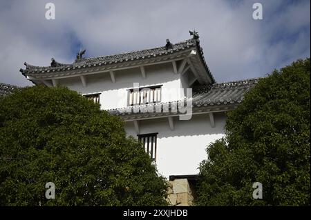 Vista panoramica della porta Hishi, la più grande porta della torretta Yagura-mon che funge da ingresso principale a Ni-no-Maru presso il castello Himeji a Kansai, Giappone. Foto Stock