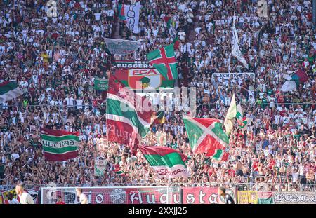 Augusta, Germania. 24 agosto 2024. Tifosi dell'FCA nella partita FC AUGSBURG - SV WERDER BREMEN 2-2 il 24 agosto 2024 ad Augusta, Germania. Stagione 2024/2025, 1.Bundesliga, FCA, giorno 1, 1.Spieltag fotografo: ddp Images/STAR-Images - LE NORMATIVE DFL VIETANO L'USO DI FOTOGRAFIE come SEQUENZE DI IMMAGINI e/o QUASI-VIDEO - crediti: ddp media GmbH/Alamy Live News Foto Stock