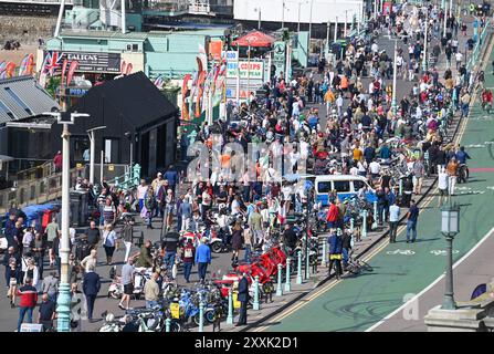 Brighton Regno Unito 25 agosto 2024 - centinaia di mod celebrano il 60° Mod Weekender evento a Brighton questo weekend di festa. Mods provenienti da tutta la Gran Bretagna e l'Europa scendono a Brighton per il fine settimana festivo di agosto per celebrare il loro evento annuale Mod Weekender: Credit Simon Dack / Alamy Live News Foto Stock