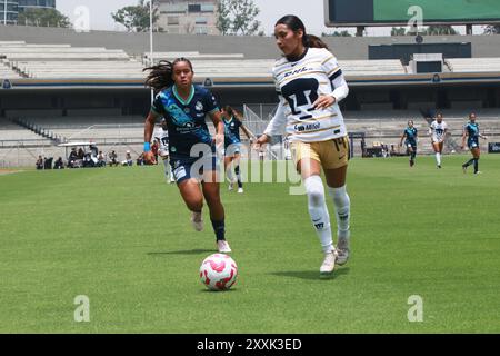 Città del Messico, Messico. 24 agosto 2024. Yaneisy Rodríguez 19 di Pumas UNAM guida il pallone in avanti durante il Olímpico turno tra Pumas UNAM e Club Puebla come parte del Torneo apertura 2024 Women's Liga MX all'Estadio Universitario. Punteggio finale Pumas 2 -1 Puebla. Il 23 agosto 2024 a città del Messico, Messico. (Foto di Jose Luis Torales/ credito: Eyepix Group/Alamy Live News Foto Stock