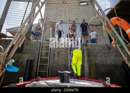 Un gruppo di pescatori aiuta un marinaio a portare dalla barca parte del pescato pescato la mattina. I pescatori della corporazione della città di Conil de la Frontera, Cadice, escono a pescare ogni giorno in mare. Il pesce raccolto con tecniche tradizionali e artigianali, quali palangari o reti da pesca, viene successivamente venduto ad un’asta sul mercato, che certifica la denominazione di origine e dove si riuniscono i rappresentanti dei principali ristoranti e mercati all’ingrosso della Spagna. Oltre alla carenza di prodotti dovuta all'esaurimento, in questi giorni si osserva l'aspetto dell'alga asiatica invasiva Foto Stock