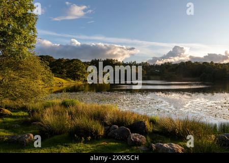 loughrigg tarn vicino al ponte di skelwith lake district al tramonto Foto Stock