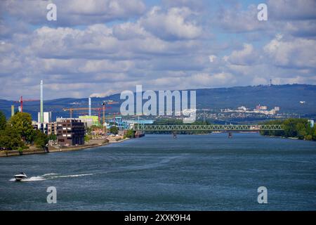 Mainz, Germania. 25 agosto 2024. Motoscafo nel fiume Reno. Foto Stock