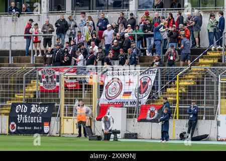 Monaco, Germania. 25 agosto 2024. Der aus Koeln mitgereiste Anhang. GER, TSV 1860 Muenchen gegen FC Viktoria Koeln 1904, Fussball, 3. Bundesliga, 3. Spieltag, Saison 2024/2025, 25.08.2024. (LE NORMATIVE DFL DFB VIETANO QUALSIASI USO DI FOTOGRAFIE COME SEQUENZE DI IMMAGINI E/O QUASI-VIDEO). Foto: Eibner-Pressefoto/Heike Feiner credito: dpa/Alamy Live News Foto Stock