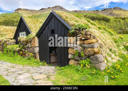 Villaggio tradizionale in erba nel Museo all'aperto di Skogar, edifici residenziali con facciata in legno nero con tetti coperti di erba e muschio, Islanda. Foto Stock