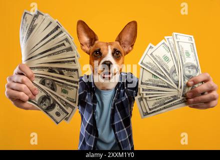 Cane con le mani umane che tiene in mano le banconote da dollari USA Foto Stock