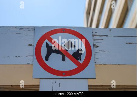 cartello che proibisce gli animali domestici vicino alla piscina Foto Stock