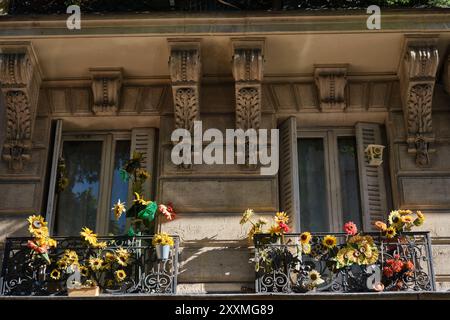 Finestre degli appartamenti e balconi con fiori nella zona del Mont Marte di Parigi, Francia Foto Stock