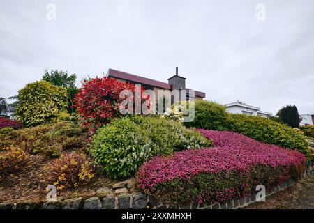 Limburgo, Paesi Bassi - 10 aprile 2024: Bellissimo giardino nel quartiere Sweikhuizen, Sittard Geleen Foto Stock
