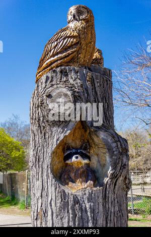 Toronto, 06may2016 - Un gufo di legno intagliato arroccato su un ceppo d'albero e intaglio di un procione dal tronco, vicino alla fattoria Riverdale a Cabbagetown Foto Stock