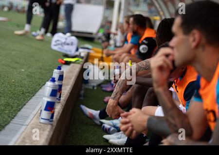 Torino, Italia. 25 agosto 2024. Durante la partita di calcio di serie A tra Torino e Atalanta allo Stadio Olimpico grande Torino di Torino - domenica 25 agosto 2024. Sport - calcio . (Foto di Matteo Arnoul/Lapresse) credito: LaPresse/Alamy Live News Foto Stock