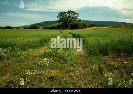 Talybont-on-Usk Foto Stock