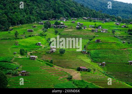 Vista generale di un piccolo borgo nelle terrazze di riso di Ban Pa Pong Piang, perduto tra le montagne del Parco Nazionale Doi Inthanon, uno dei parchi nazionali più popolari della Thailandia. Foto Stock