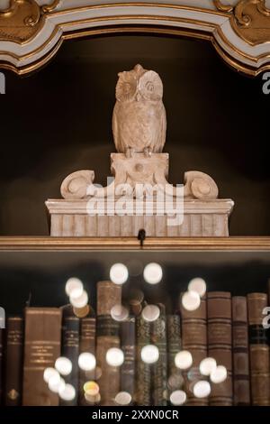 Un gufo ornamentale in una libreria al palazzo di Christiansborg a Copenaghen, Danimarca Foto Stock