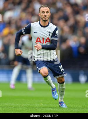 Londra, Regno Unito. 24 agosto 2024. 24 agosto 2024 - Tottenham contro Everton - Premier League - Tottenham Hotspur Stadium. Il Tottenham è James Maddison in azione. Crediti immagine: Mark Pain/Alamy Live News Foto Stock