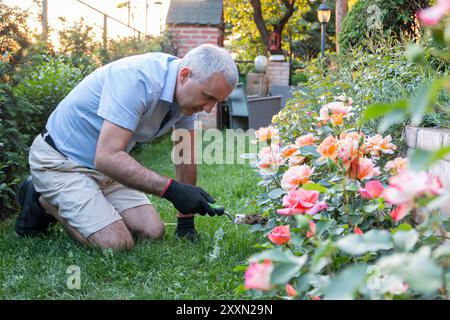 Un uomo si prende cura di fiori e piante nel giardino. Primavera. Uomo che scavava nel giardino. Foto Stock