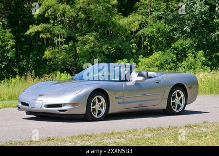 Una Corvette 2000 convertibile in peltro leggero con la sua capote in basso è parcheggiata su uno sfondo di boschi. Foto Stock