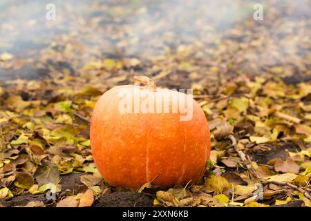 Una grande zucca arancione a terra con foglie gialle sullo sfondo del fumo di un falò Foto Stock