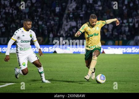 Campinas, Brasile. 24 agosto 2024. Jonathan Cafu (Cuiabá) e Caio Paulista (Palmeiras) durante la partita tra Palmeiras e Cuiabá, valida per la 24a prova del Campionato brasiliano di calcio 2024 e tenutasi allo stadio Brinco de Ouro da Princesa (Brinco de Ouro) a Campinas, SP, nella notte di questo sabato (24). Crediti: Rodilei Morais/FotoArena/Alamy Live News Foto Stock