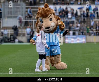 Monaco, Germania. 25 agosto 2024. Maskottchen Sechzger (TSV 1860 Muenchen). GER, TSV 1860 Muenchen gegen FC Viktoria Koeln 1904, Fussball, 3. Bundesliga, 3. Spieltag, Saison 2024/2025, 25.08.2024. (LE NORMATIVE DFL DFB VIETANO QUALSIASI USO DI FOTOGRAFIE COME SEQUENZE DI IMMAGINI E/O QUASI-VIDEO). Foto: Eibner-Pressefoto/Heike Feiner credito: dpa/Alamy Live News Foto Stock