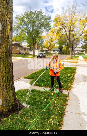 Edmonton, Canada, 22 settembre 2015: Operaio cittadino che innaffia l'albero dell'olmo nella stagione autunnale Foto Stock