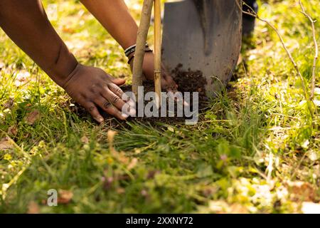 Squadra di attivisti per il cambiamento climatico che piantano piccoli alberi in un ambiente forestale, unendosi per preservare l'habitat naturale. Volontari afroamericani che installano piante nel terreno, coltivano il verde. Foto Stock