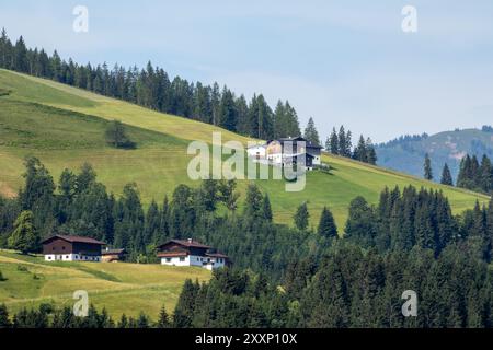 Eben im Pongau, Salisburgo - Austria. La vista rivela il pittoresco altopiano alpino con splendide case, alberi lussureggianti e prati verdeggianti. Foto Stock