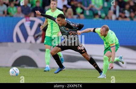 WOLFSBURG, GERMANIA - AGOSTO 25: Jamal Musiala del Bayern Muenchen compete con Maximilian Arnold del VFL Wolfsburg durante la partita di Bundesliga tra VfL Wolfsburg e FC Bayern München alla Volkswagen Arena il 25 agosto 2024 a Wolfsburg, Germania. © diebilderwelt / Alamy Stock Foto Stock