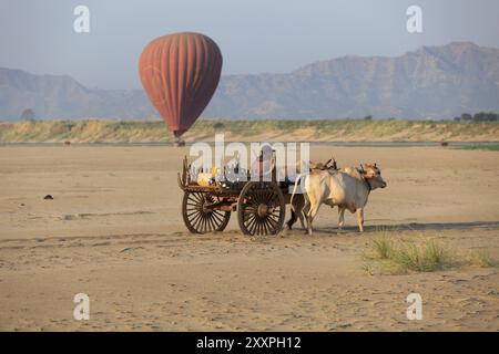 Pescatori con carretti da bue sull'Irrawaddy in Myanmar Foto Stock