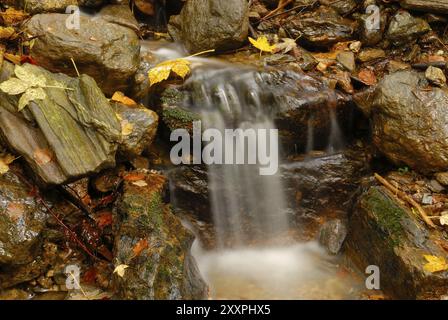 Su Hoellbach, nella foresta bavarese, in autunno. Am Hoellbach im Bayerischen Wald Foto Stock