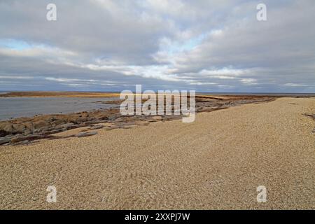 La costa della Baia di Hudson vicino a Churchill in Canada Foto Stock