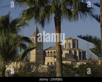 Iglesia parroquial, Sineu. Comarca de es Pla. Maiorca. Baleari. Espana Foto Stock