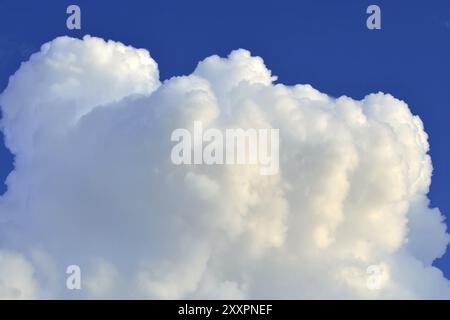 Il Cumulus bianche nuvole contro il cielo blu closeup Foto Stock