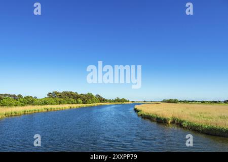 Vista del fiume Prerow a Prerow Foto Stock