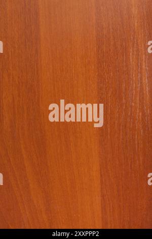 Struttura in legno, foto ad alta risoluzione. primo piano Foto Stock