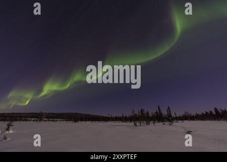 Northern Lights (Aurora borealis) over a moonlit winter landscape, Norrbotten, Lapland, Sweden, December 2016, Europe Foto Stock