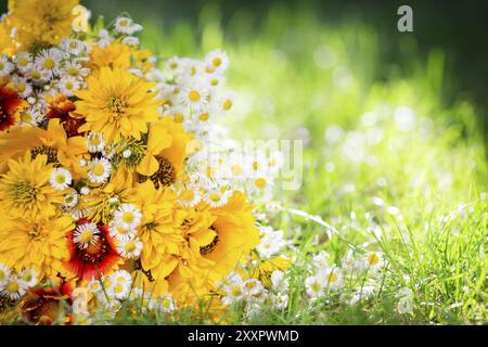 Bouquet di fiori primaverili adagiati su erba verde Foto Stock