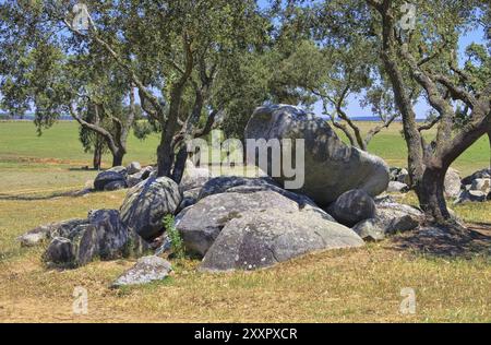 Megalith und Steineichen, Megalith und Stechpalmeneiche 02 Foto Stock