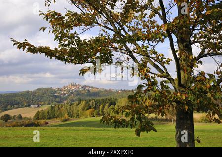 Rovine di Leuchtenberg nell'alto Palatinato. Rovine di Leuchtenberg nel Palatinato Foto Stock