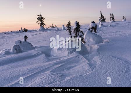 Atmosfera mattutina, Parco Nazionale di Riisitunturi, Lapponia, Finlandia, gennaio 2017, Europa Foto Stock