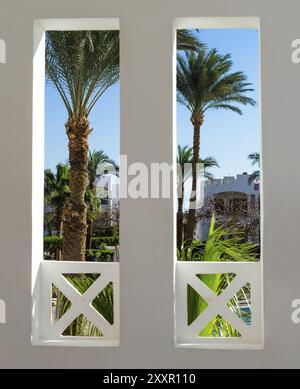Vista finestra di un giardino tropicale con alte palme Foto Stock