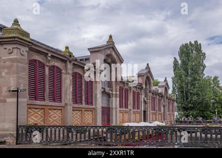 Mercato mercato marchigiano sul canale, quartiere la Petite Venise, Little Venice, città Vecchia, Colmar, Grand Est, Haut-Rhin, Alsazia, Francia, Europa Foto Stock