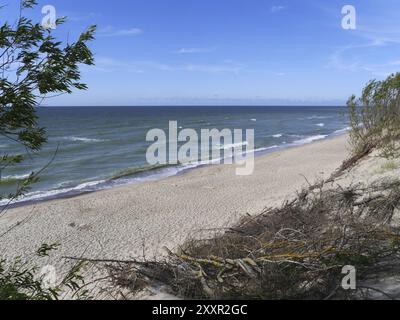 Curonian Spit, parte russa dell'Oblast' di Kaliningrad Foto Stock