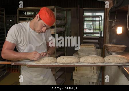 Giovane panettiere che segna la parte superiore di pane lievito madre non cotto con una lama di rasoio presso il forno a legna Flour Salt + Water nella città di Berry, nel nuovo Galles del Sud, in Australia Foto Stock