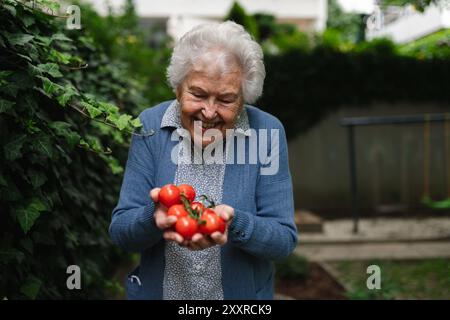 Una donna anziana orgogliosa mostra il proprio raccolto di pomodori. Tiene in mano pomodori rossi maturi, appena raccolti dal giardino. Foto Stock