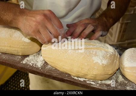 Giovane panettiere che segna la parte superiore di pane lievito madre non cotto con una lama di rasoio presso il forno a legna Flour Salt + Water nella città di Berry, nel nuovo Galles del Sud, in Australia Foto Stock