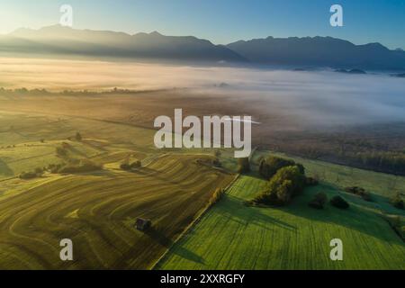 Veduta aerea di un prato fertilizzato con letame liquido alla luce del mattino, agricoltura, Murnau, Baviera, Germania, Europa Foto Stock